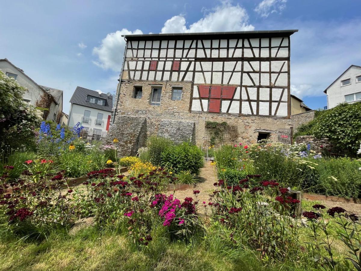 Gut Bunt * Runkel