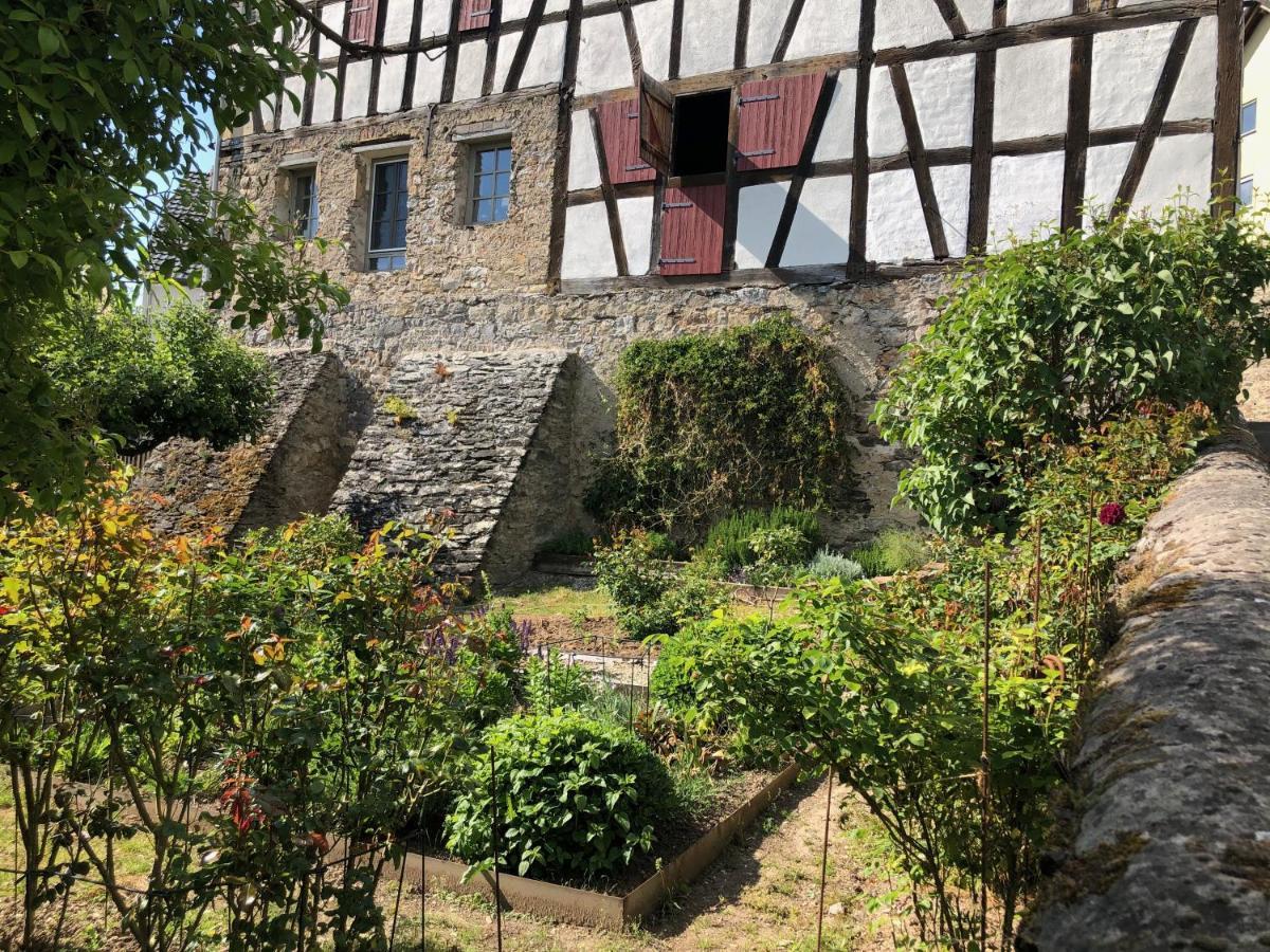 Gut Bunt * Runkel